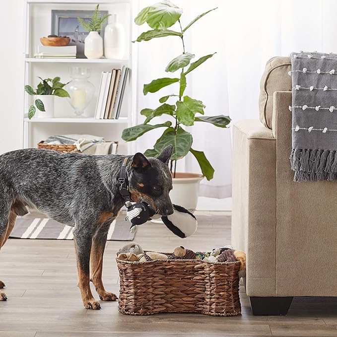 dog toy basket