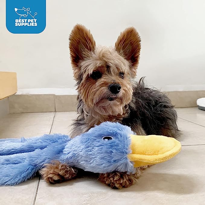 Duck Dog Toy: More Than Just Playthings, They’re Lifesavers!